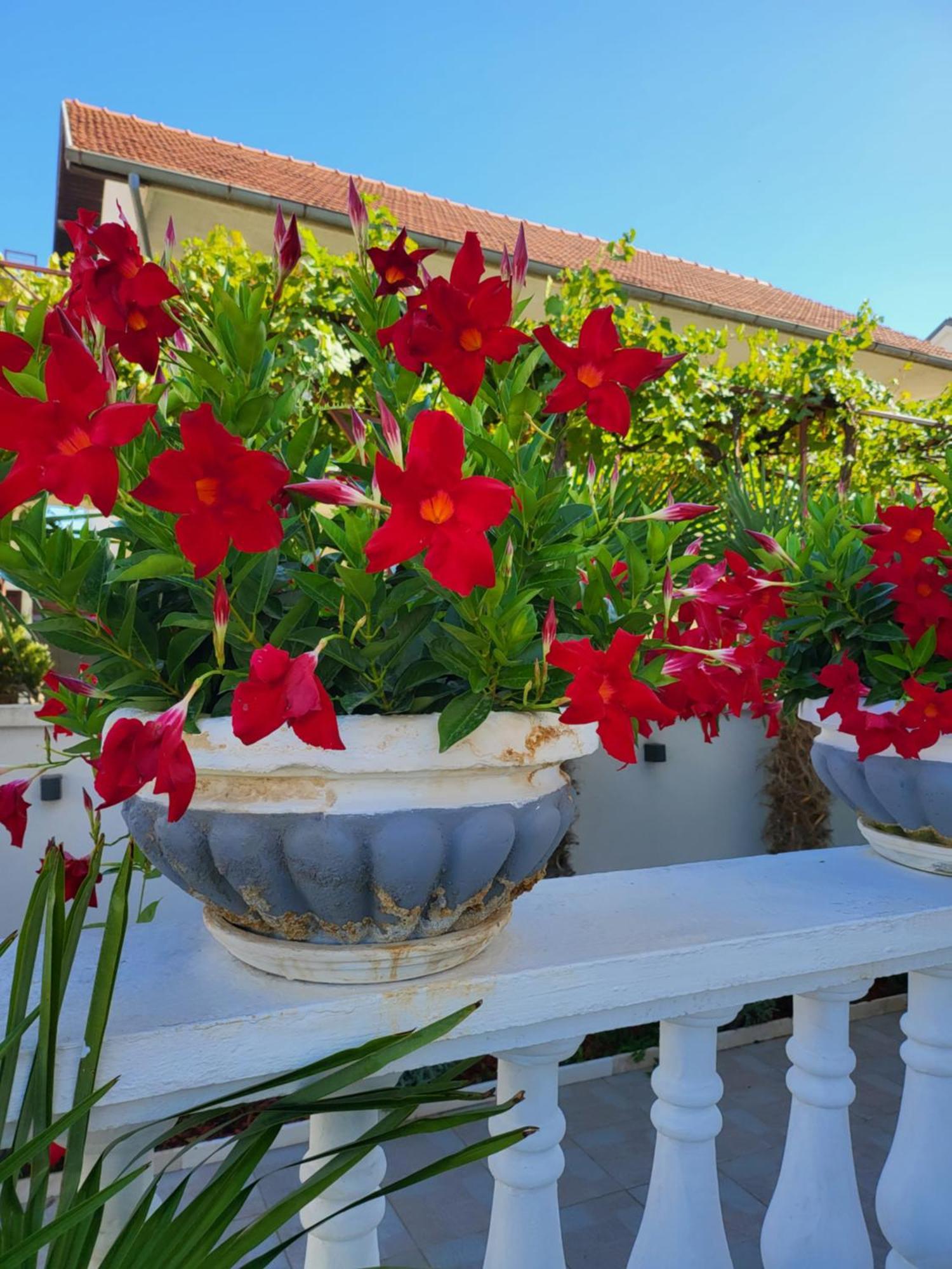 Apartments Rino Водице Экстерьер фото
